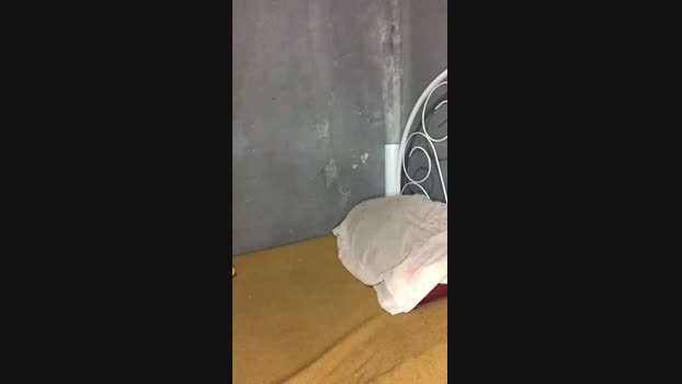 021_alves 17-04-2024 Recorded Video kink