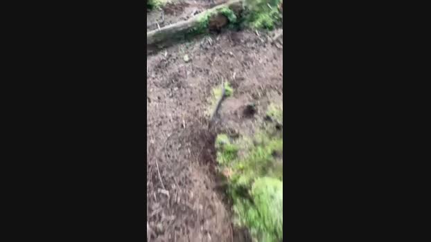 Diegomorbo_str 17-04-2024 Recorded Video jackoff