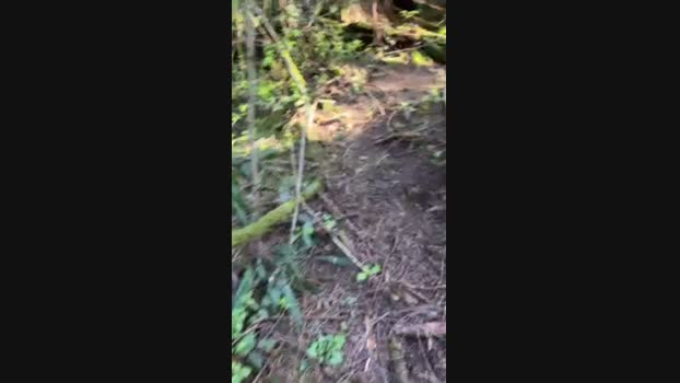 Diegomorbo_str 17-04-2024 Recorded Video bigass