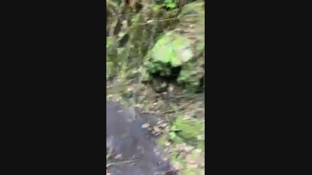 Diegomorbo_str 17-04-2024 Recorded Video twink