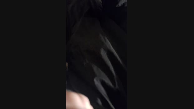 Vanluiz28 17-04-2024 Recorded Video deep