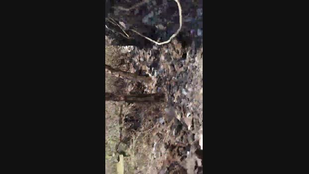 diego2634 16-04-2024 Recorded Video Cam