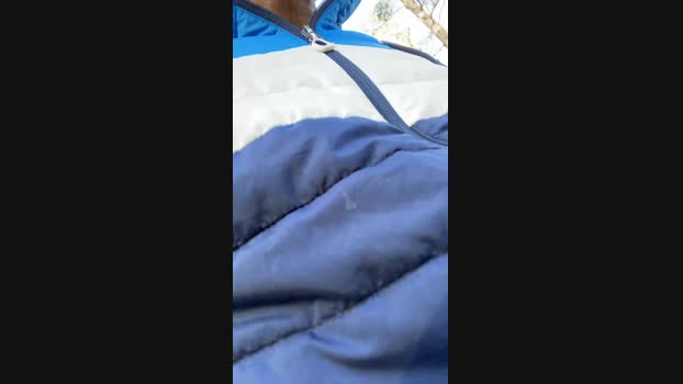 stefanoeverlan1 16-04-2024 Recorded Video oral