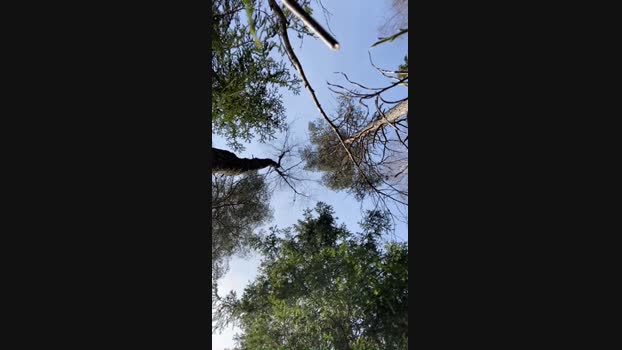 stefanoeverlan1 17-04-2024 Recorded Video nude