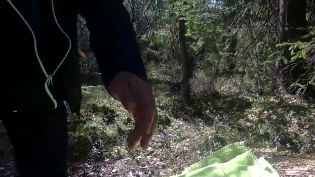 stefanoeverlan1 17-04-2024 Recorded Video Porn
