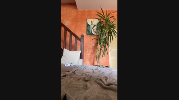 Alcasa_sex 18-04-2024 Recorded Video bigass