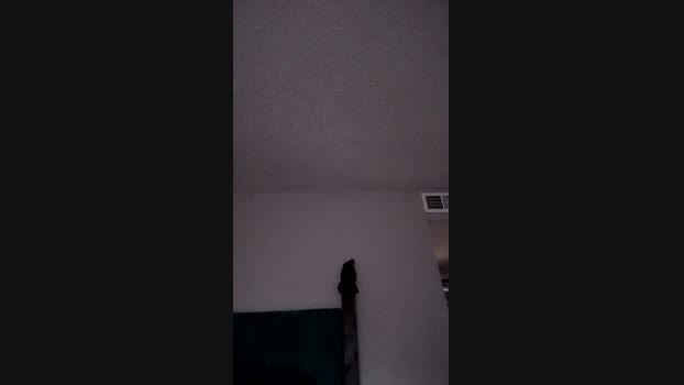 BroBun4Fun 17-04-2024 Recorded Video striptease