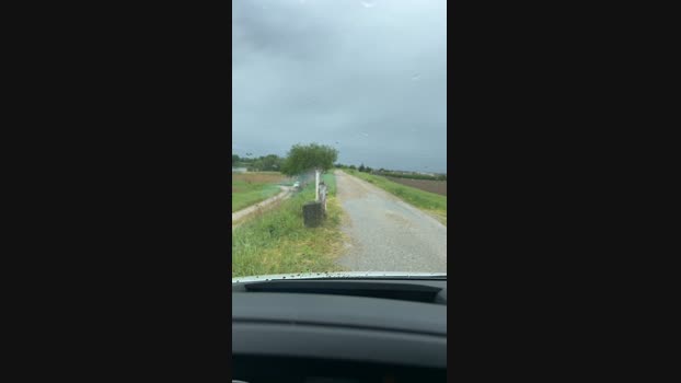 Edward_venezia 18-04-2024 Recorded Video orgasm