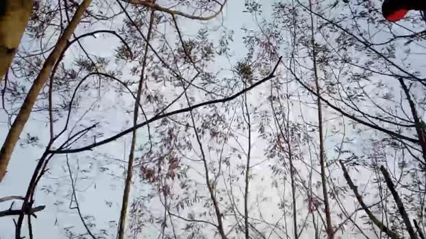 gonzo_art 17-04-2024 Recorded Video XXX