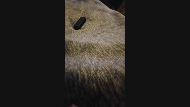 goodnitehero88 18-04-2024 Recorded Video Webcam