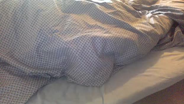 stefanoeverlan1 18-04-2024 Recorded Video jerkoff