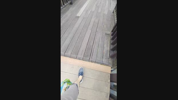 weimeixi 18-04-2024 Recorded Video lovense