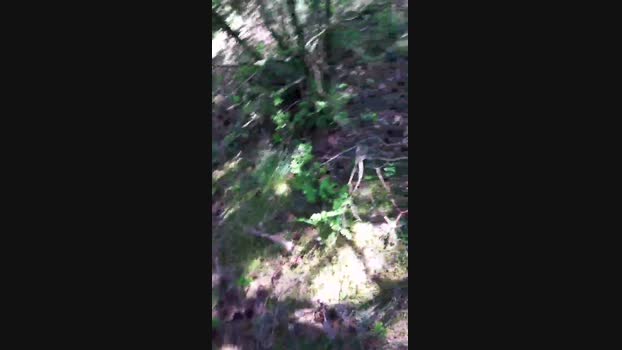 DePamplona 19-04-2024 Recorded Video deep