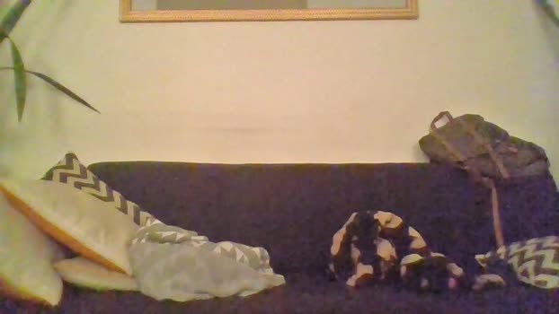 Felipe0026 19-04-2024 Recorded Video twink