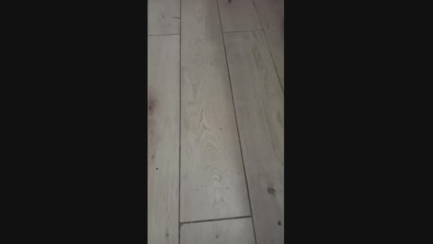 ericperez5 18-04-2024 Recorded Video natural