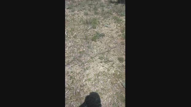 sikici20 19-04-2024 Recorded Video squirt