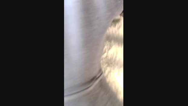Asiernavarra 20-04-2024 Recorded Video Webcam