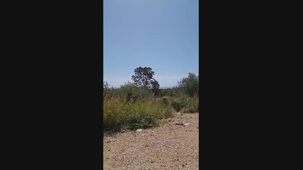 Heteronano 20-04-2024 Recorded Video ass