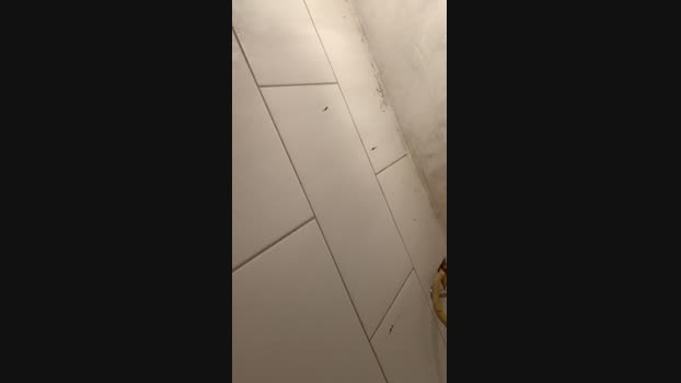 gptop3 20-04-2024 Recorded Video jerking
