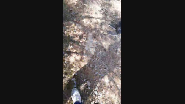 Top_man 21-04-2024 Recorded Video analtoy