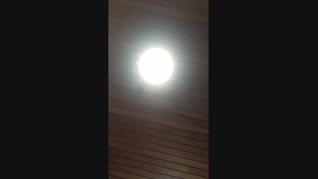 Doperman 23-04-2024 Recorded Video bigdick