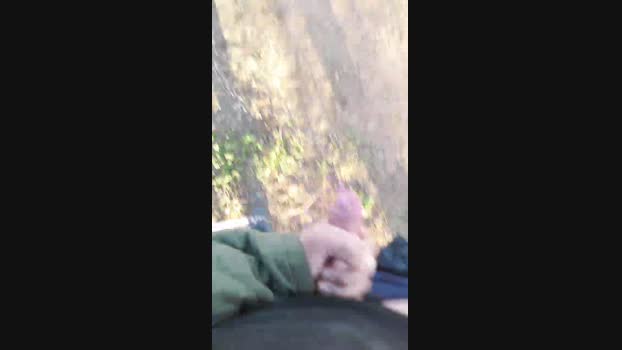 osopajas2 23-04-2024 Recorded Video big