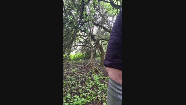 Doperman 24-04-2024 Recorded Video cute