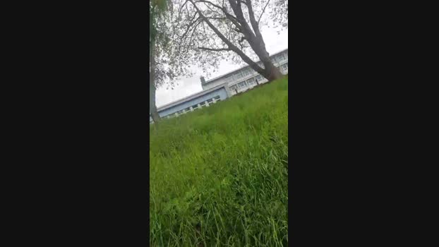 Doperman 25-04-2024 Recorded Video Video