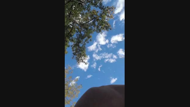 Joacooobarbosa 24-04-2024 Recorded Video analsex