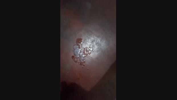 alejandro320320 25-04-2024 Recorded Video big