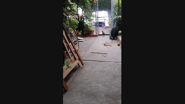 roncoratonm2 25-04-2024 Recorded Video naked
