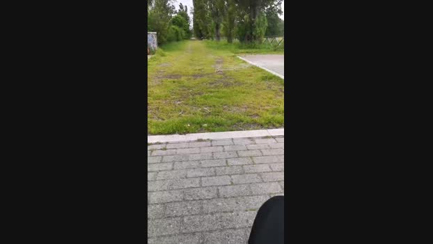 Pagani56 26-04-2024 Recorded Video harddick