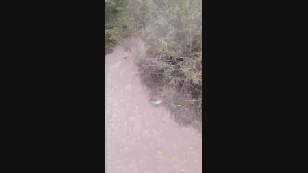 El_ceco 26-04-2024 Recorded Video jackoff