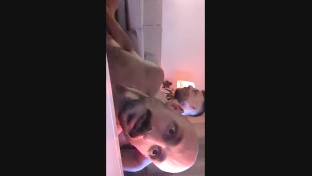 chanaan 27-04-2024 Recorded Video Download