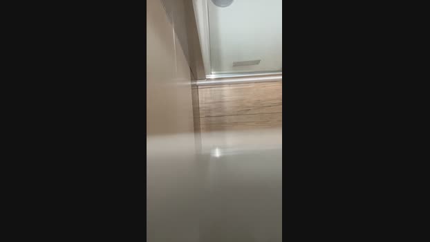 Pispol8 27-04-2024 Recorded Video Ass