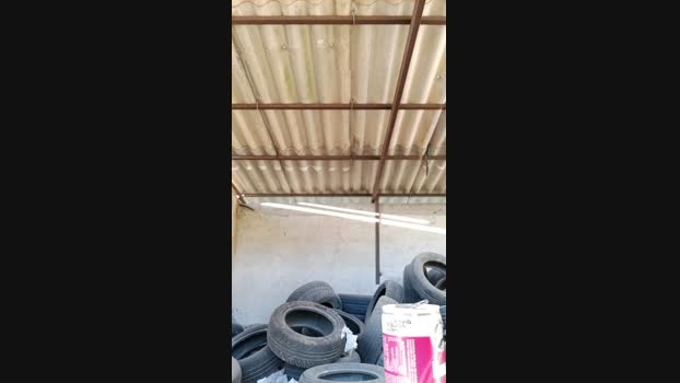 pathpeter 27-04-2024 Recorded Video kissing