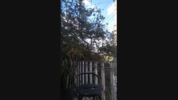 Raul439 28-04-2024 Recorded Video Cam