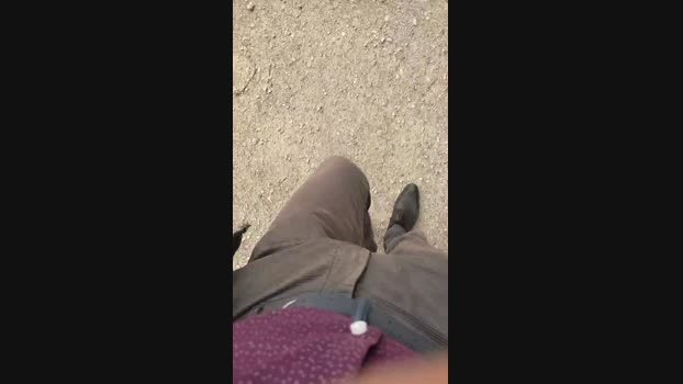 Scarearies 29-04-2024 Recorded Video Download