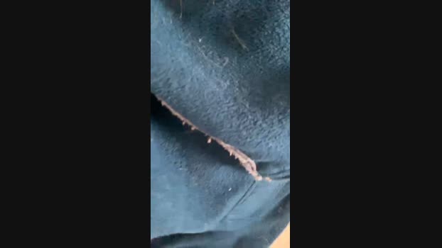niamor_xxx 29-04-2024 Recorded Video blowjob