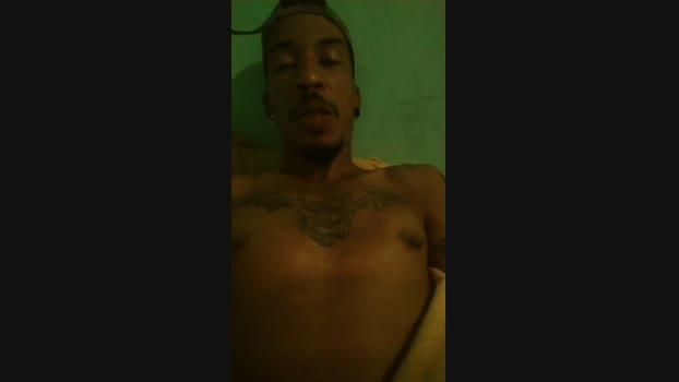 SeuDavizinhoe 30-04-2024 Recorded Video analtoy