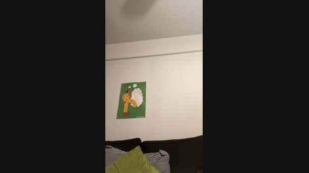 greenfish4