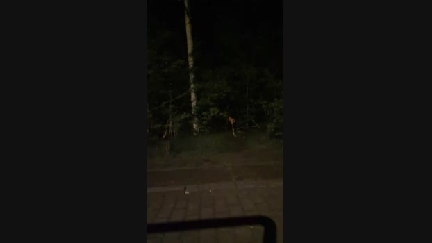 Germanppbottom 01-05-2024 Recorded Video bigload