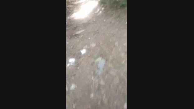 putorj19 02-05-2024 Recorded Video lick
