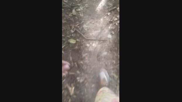 putorj19 02-05-2024 Recorded Video analtoy