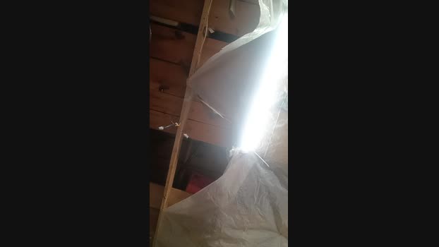 thompson3 03-05-2024 Recorded Video bigload