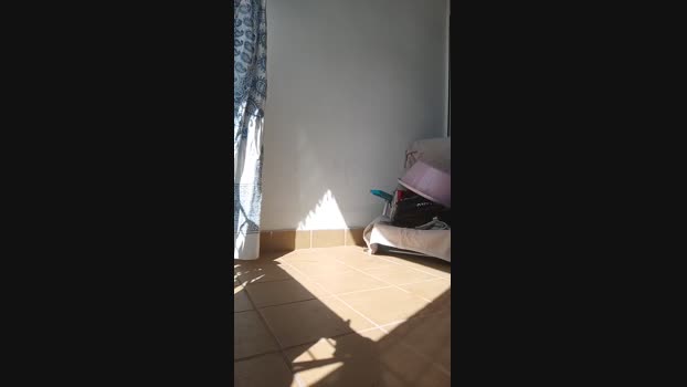 6Q87 04-05-2024 Recorded Video big