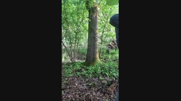 Doperman 03-05-2024 Recorded Video bigballs