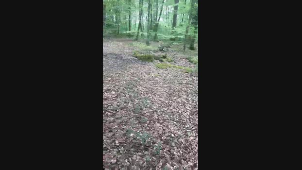 Kbreizh 04-05-2024 Recorded Video show