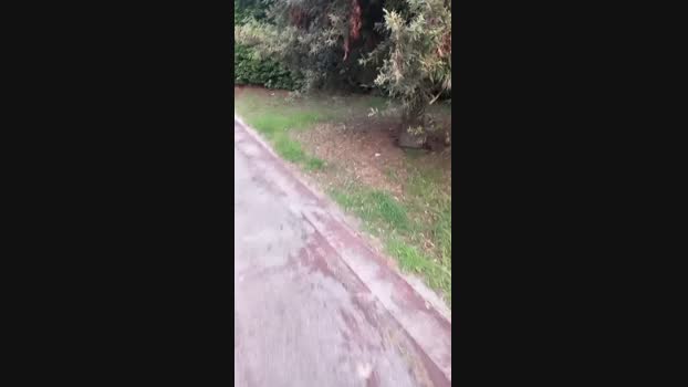 Magagna91 03-05-2024 Recorded Video fingers