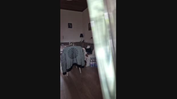 Doperman 05-05-2024 Recorded Video kiss